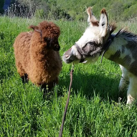 Il Pagliaio Alojamento de Turismo Rural