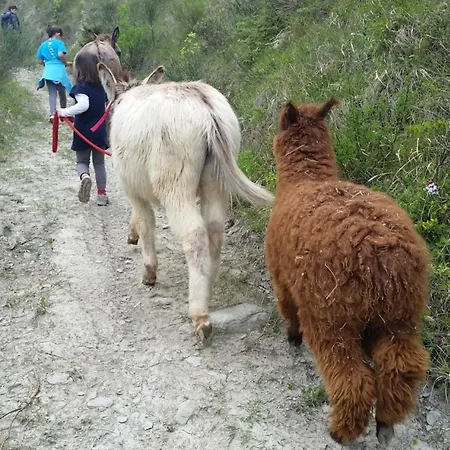 Il Pagliaio Alojamento de Turismo Rural *