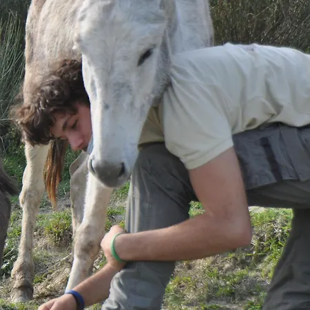 Il Pagliaio Alojamento de Turismo Rural Mercato Saraceno