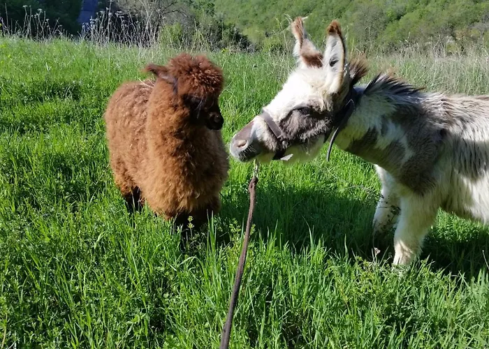 Il Pagliaio Lantgård