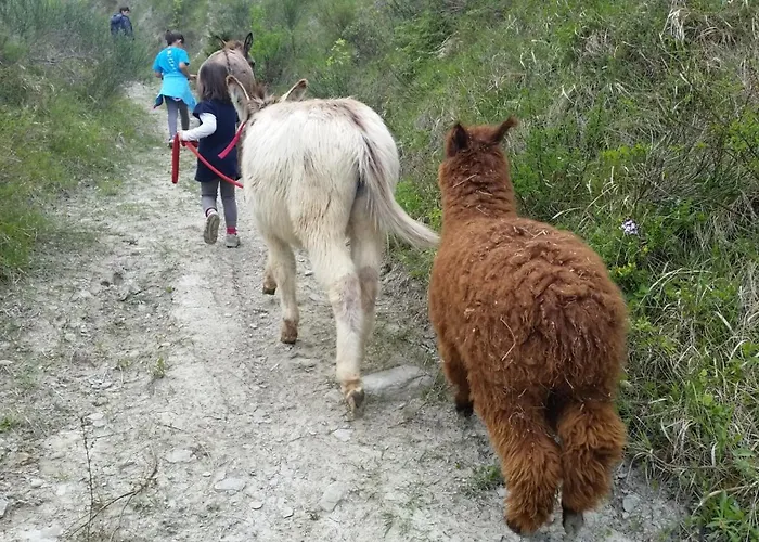 Il Pagliaio Lantgård *