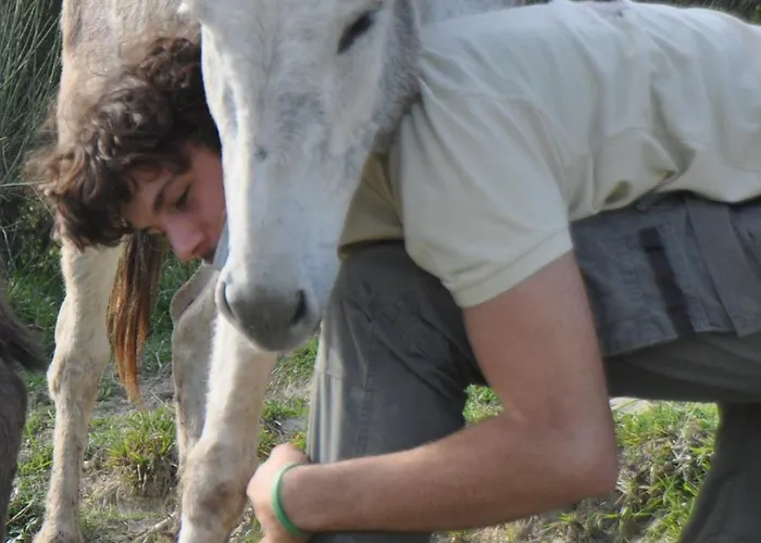 Il Pagliaio Lantgård Mercato Saraceno